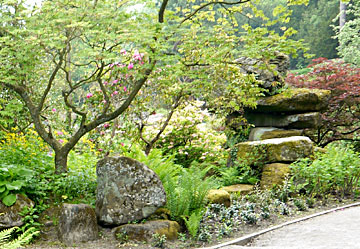 Rock Garden
